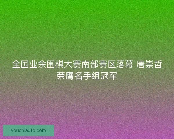 全国业余围棋大赛南部赛区落幕 唐崇哲荣膺名手组冠军